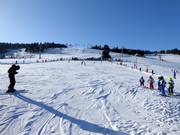 Area di esercitazione a Zieleniec