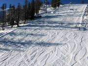 Ripida pista Hochegg