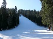 Pista nera Martinovi baraki 4