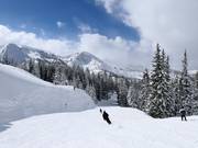 Comprensorio sciistico Brighton