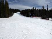 Pista facile Järvbacken