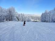 Pista di media difficoltà presso la seggiovia Kleine Almberg