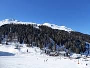 Vista dagli skilift per principianti nella valle verso l'Hoadl