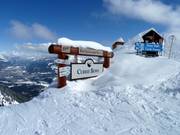 Ingresso nella Curry Bowl