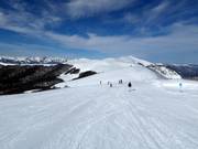 Pista facile n. 1 dal Vrh Troglava