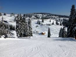 Feldberg - Seebuck/Grafenmatt/Fahl
