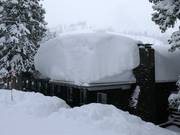 Abbondante neve naturale a Brighton