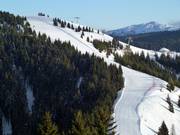 Vista sulla pista Rainer n. 21