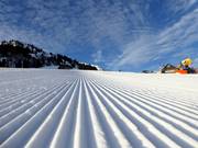 Preparazione perfetta delle piste nell’area sciistica di Wildhaus