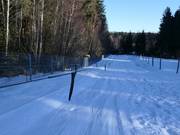 Geissleinpark (Seillift) - Manovia/Babylift a fune bassa