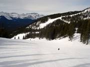 Pista n. 56 Deer Run