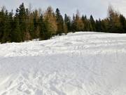 Terreno di neve fresca presso lo skilift Feldherrnhügel