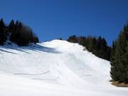 Pista nera accanto alla seggiovia di vetta