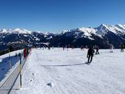 Suggerimento per i più piccoli 