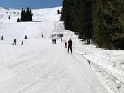 Sciovia A separata presso Aleko (non inclusa nello skipass)
