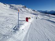 Suggerimento per i più piccoli 