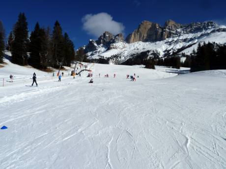 Comprensori sciistici per principianti tutto il mondo – Principianti Carezza Ski