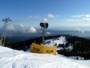 Grouse Mountain