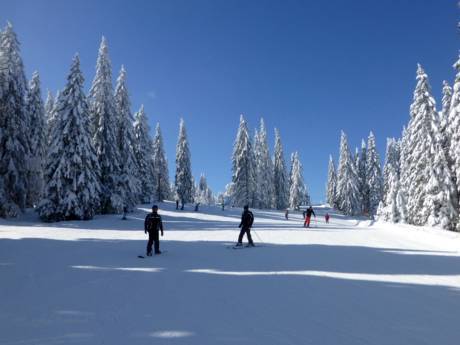 Offerta di piste Foresta Nera – Offerta di piste Feldberg - Seebuck/Grafenmatt/Fahl