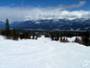 Kicking Horse - Golden