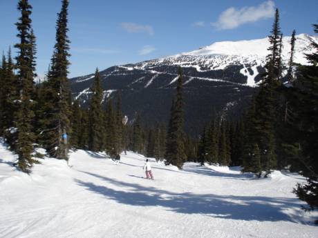 Offerta di piste Pacific Coast Ranges – Offerta di piste Whistler Blackcomb