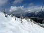 Kicking Horse - Golden