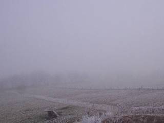 Herchenhainer Höhe - Vogelschmiede