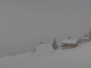 Biel Kinzig AG - Weissenboden