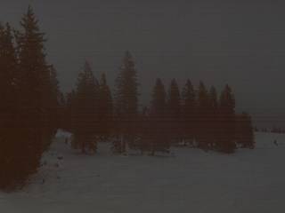 Sellamatt Lötscher Berghotel