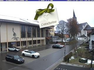 Abete della Foresta Nera