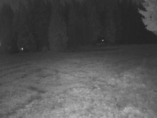 Bukovel/Pista da sci 5