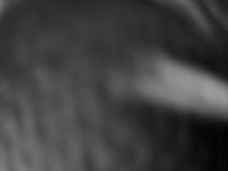 Harbutowice - Szklana Góra - orczyk