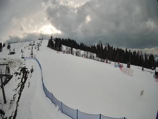 Grapa Litwinka Czarna Góra