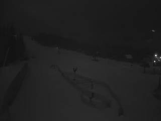 Złoty Groń - szkółka