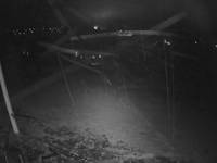 Zwyrtlik Bukowina Tatrzańska