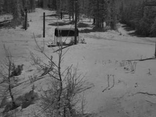 Schweitzer/Rowdy Grouse