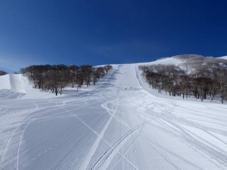 Offerta di piste Giappone – Offerta di piste Niseko United - Annupuri/Grand Hirafu/Hanazono/Niseko Village