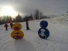 Video Turmkogel - Puchenstuben