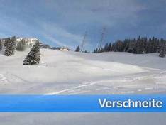 Video Schilt - Mollis