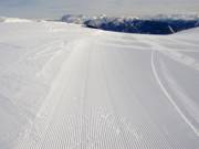 Piste preparate al meglio