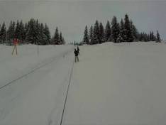 Video Salmonberry - Valdez