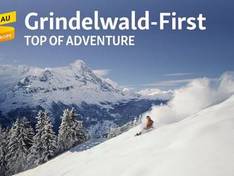 Video First - Grindelwald