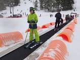 D. Martock Magic Carpet D. Martock Magic Carpet