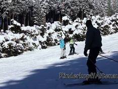 Video Auf der Rose - Altenau