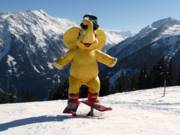 ArenaFunt è la mascottina della Zillertal Arena