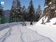 Video Wallberg - Rottach-Egern