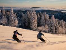 Video Feldberg - Seebuck/Grafenmatt/Fahl