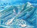 Mappa delle piste Whiteface - Lake Placid
