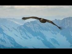 Video Kitzsteinhorn/Maiskogel - Kaprun