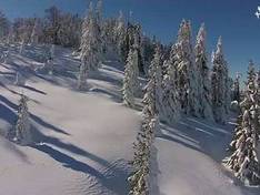 Video Brusnica - Fojnica